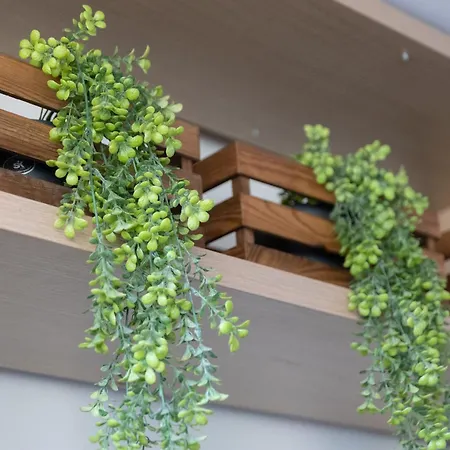 Aparteasy - Bright, Large And In Bcn Barcelona